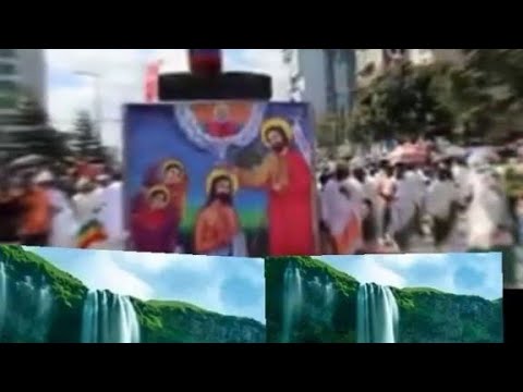 Ayyana Cuphaa Adamaati Hala Kanan Ole