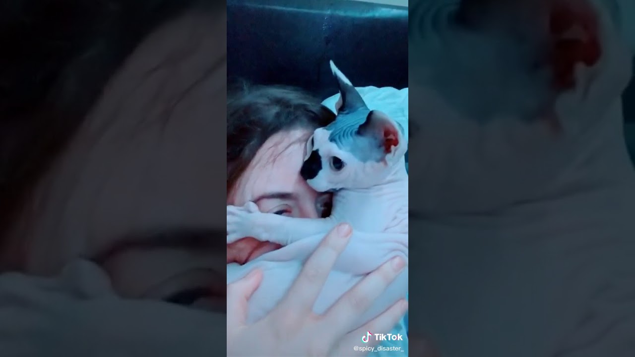 Hairless cat going 🙎🏻‍♀️ 🏻👁️👄👁️ 