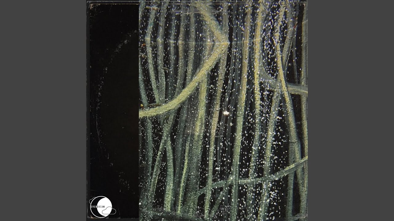 reflections adlı videoyu YouTube'da izle reflections adlı videoyu YouTube'da izle