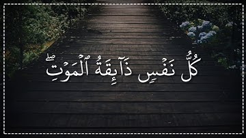 الآية مرعبة جدا 😦🖤 قران كريم بصوت شريف مصطفى | حالات واتس اب دينية - سورة العنكبوت