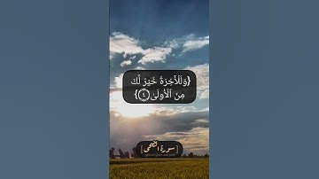 سورة الضحى الآية ١ الى ٨ بصوت الشيخ محمد صديق المنشاوي
