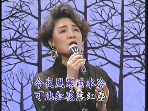 陳盈潔 & 袁小迪【情歌對唱 1】雪中紅 (高清 吉馬唱片LD版)