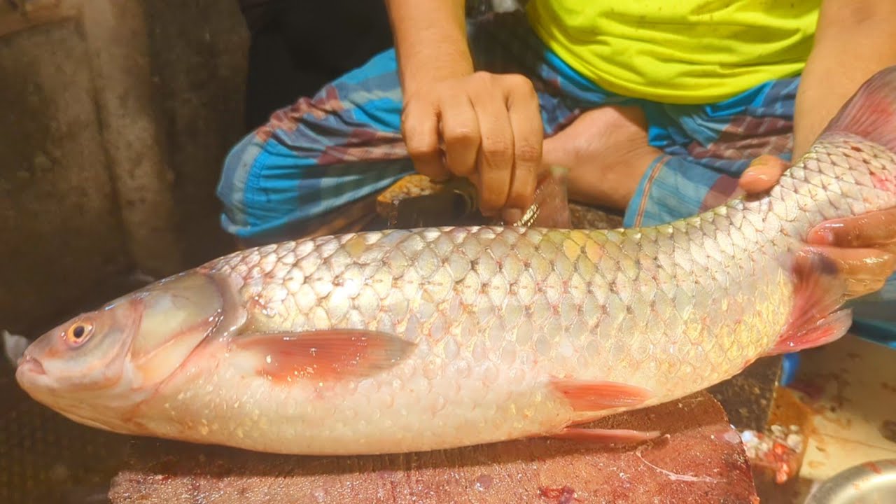 Amazing Cutting Skills Giant Carp Fish Cleaning& Cutting By Expert Fish ...