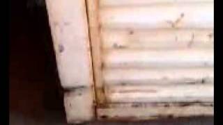 Gostosa De Calça Atolada