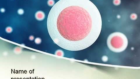 Stem Cells PowerPoint Template