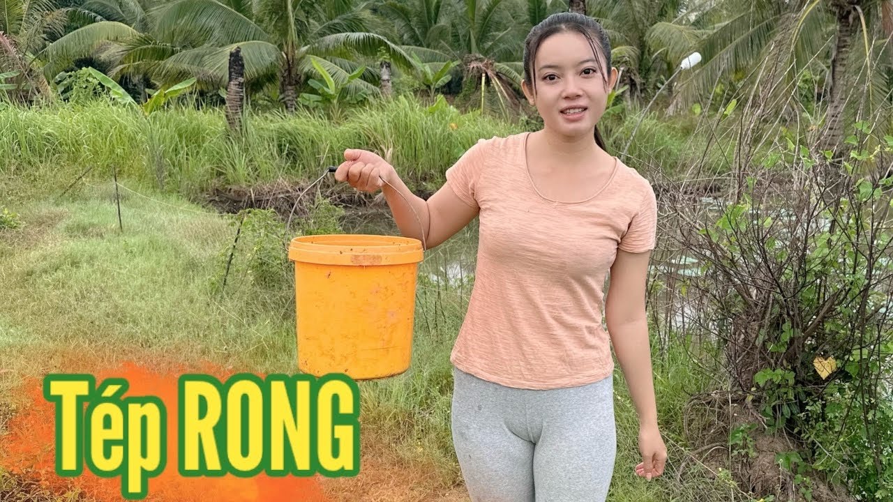 Cô Gái Quê ✅ Ra Ao Sen Thăm Lọp Tép Rong mang về Phơi Khô Chuẩn Bị Tết Đón Khách