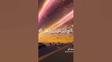 قران كريم ماشاء الله تبارك الرحمن راحة نفسية