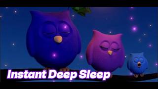 3 Sleepy Owls &amp; Lullaby || Baby sleep song 💤 owl lullaby