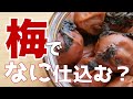 縁起物の梅干し?蒸した梅で作る?杏の味のする梅干し?我が家の梅仕込み・梅干し・梅漬け・梅調味料・梅シロップなど