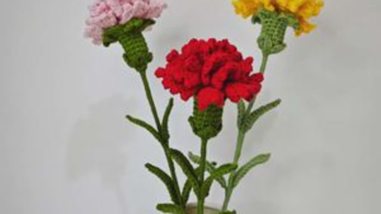 新版康乃馨教程一：花瓣；阿富汗短针钩织的花瓣；康乃馨代表着慈祥，真挚和不求回报的爱！康乃馨又被称为母亲花；最适合送给母亲！#母亲节手工 #康乃馨花束 #钩织教程 #爱钩织爱生活