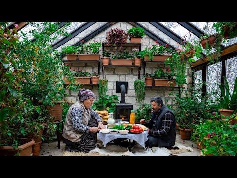 Vídeo: Baku tomates: descrição, foto