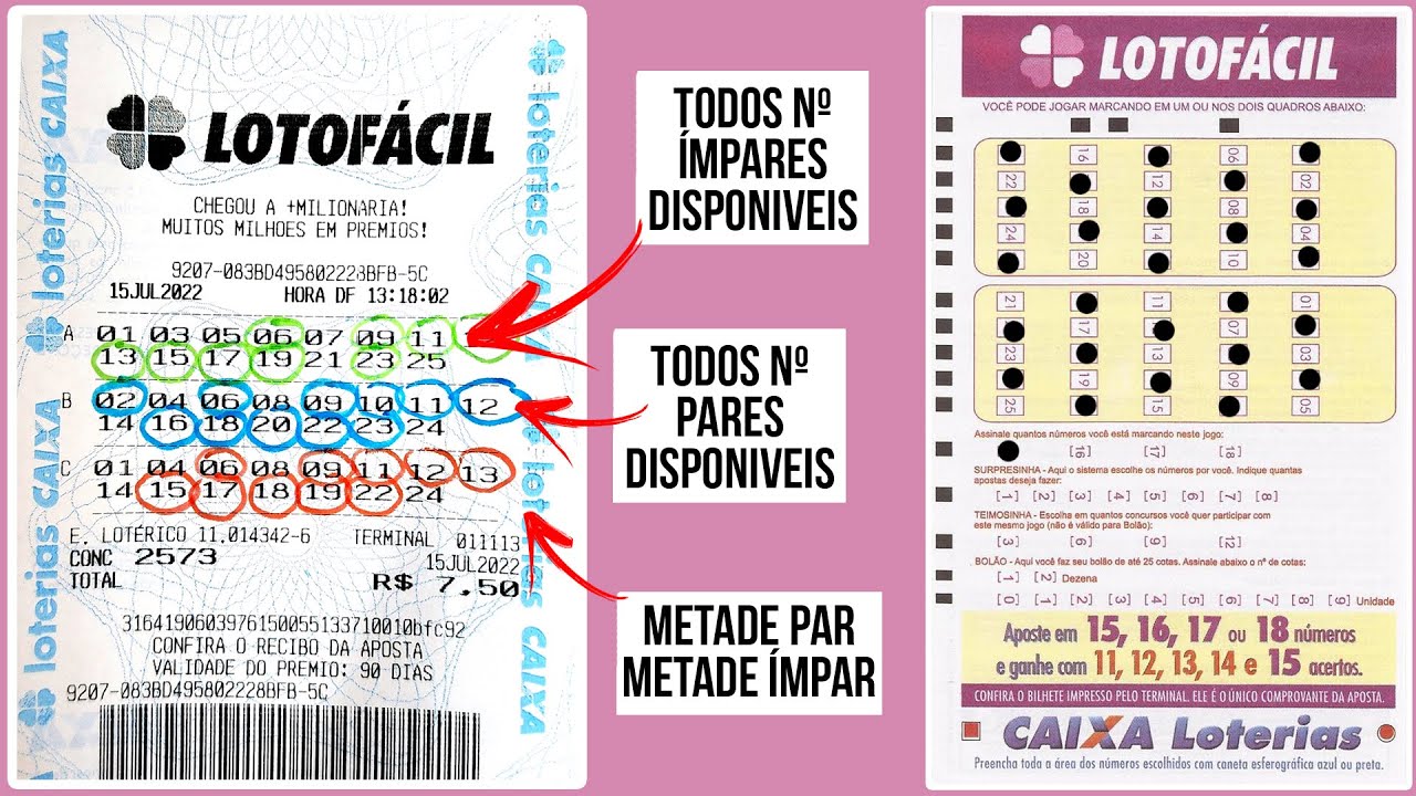 Os 20 números que mais saem na lotofácil (Inédito) - Loto Descomplica