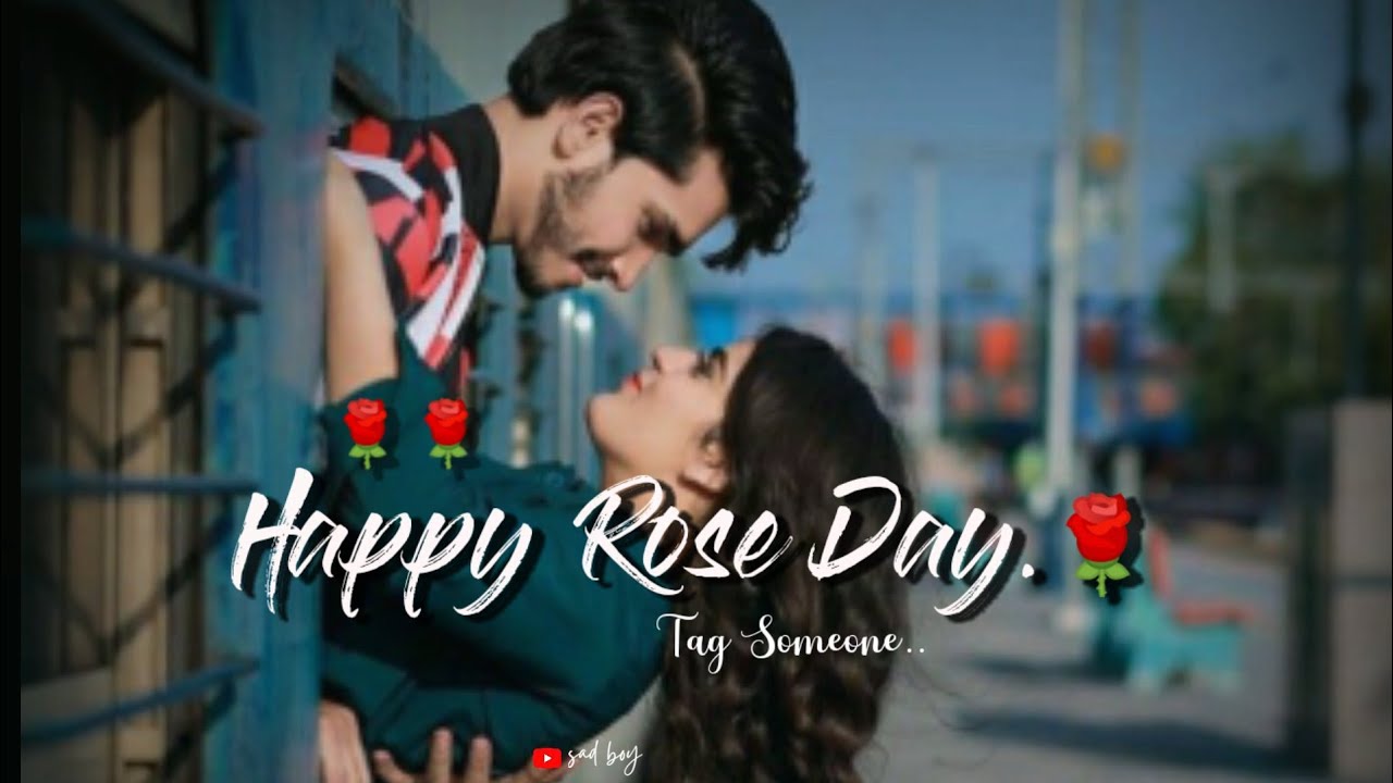 😇🙈Special Rose Day 2023 Tag Someone 🌹 Happy Rose Day 2023 Status | Rose Day Status