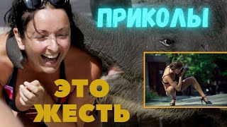 10 МИНУТ СМЕХА ДО СЛЕЗ 2021,РЖУ НЕ МОГУ🤣, ЛУЧШИЕ ПРИКОЛЫ/THE FUNNIEST TIME#14