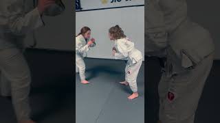 Emerald Beginner Helicopter Armbar Attack Training