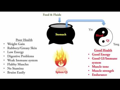 Hoe te Versterk uw Digestive Fire & Afvallen