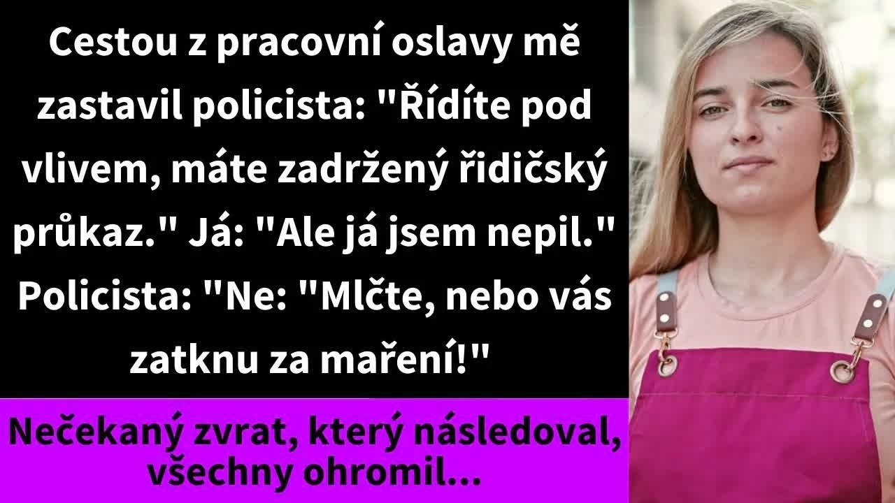 Když policista zastavil moje auto, byla jsem si jistá, že jde o rutinní kontrolu. Foukla jsem do přístroje a výsledek byl čistý. Jenže on se místo toho obrátil na mou opilou kamarádku sedící vedle...