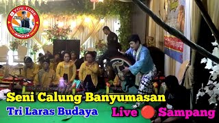 Seni Calung Banyumasan || Tri Laras Budaya || Live 🔴 Sampang, Cumplung