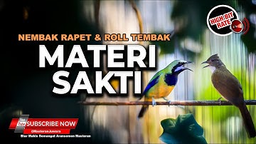 🔴Masteran Cucak Jenggot Gacor Ngotot Speed Rapat vs Masteran Cucak Cungkok Gacor Roll Tembak