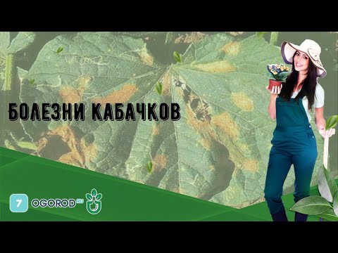 Болезни кабачков