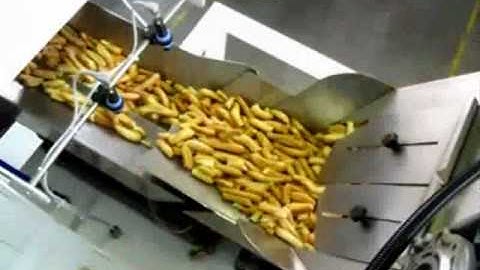 TECHNO D - Packaging machine for breadsticks