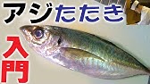 鮃 ひらめのさばき方 ２ 皮の引き方 Flatfish Youtube