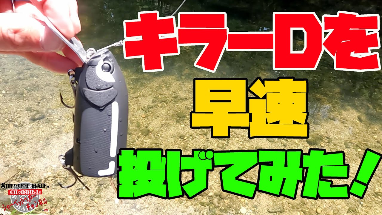 キラーDを早速投げてみたら・・・【新作ルアー】【レイドジャパン