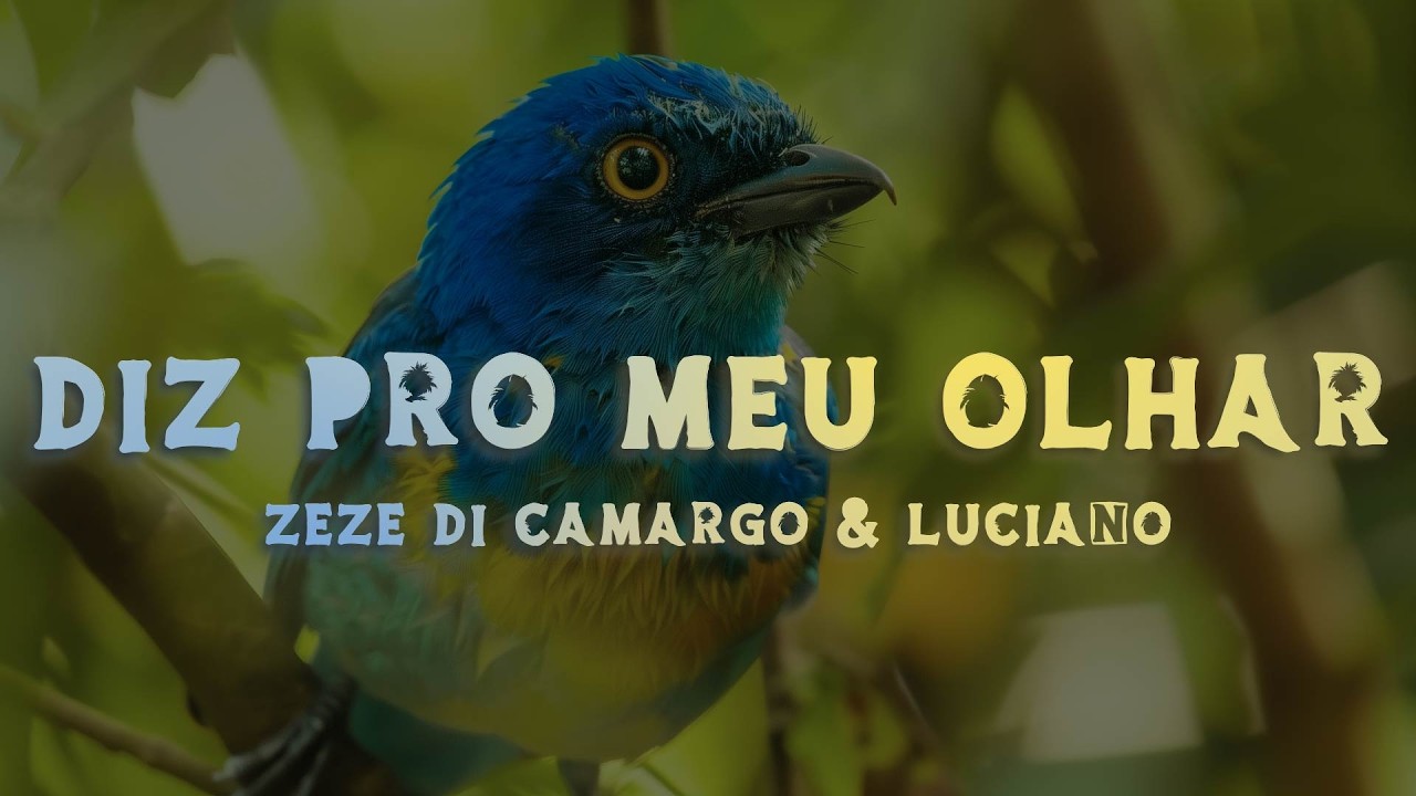 Zezé Di Camargo & Luciano - Diz Pro Meu Olhar (Lyrics/Letra)