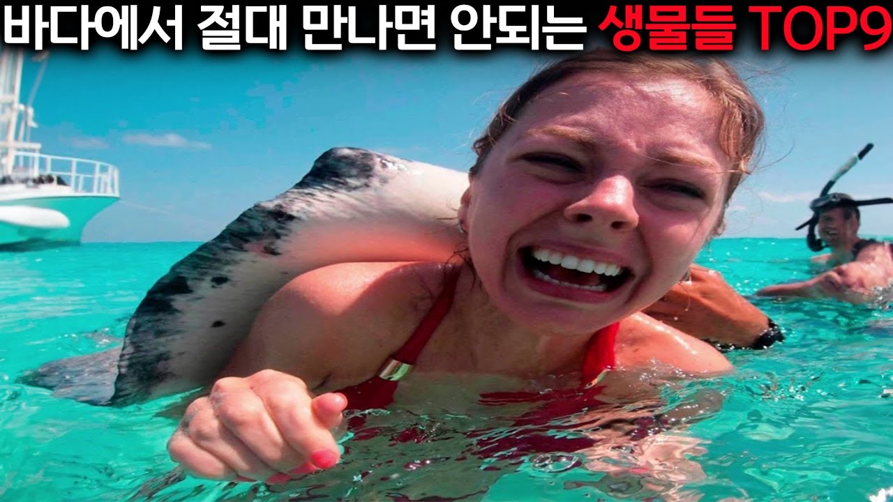 흐헤ㅐㅇ에에에ㅐ