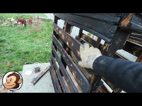 Video: Aardbei Verticale Verwelking