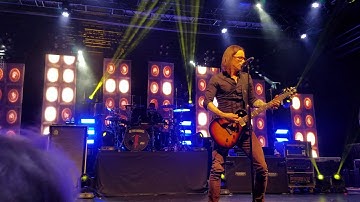Alter Bridge "Rise Today"