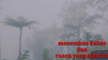 menembus puncak tinombala || jalur lintas ekstrim pasir putih.