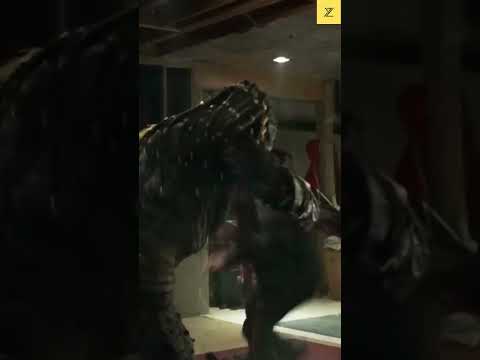 Suikâstçi Predator En İyi Sahne | Predator 2018 Filmi WhatsApp Status 🔥🔥🔥#shorts