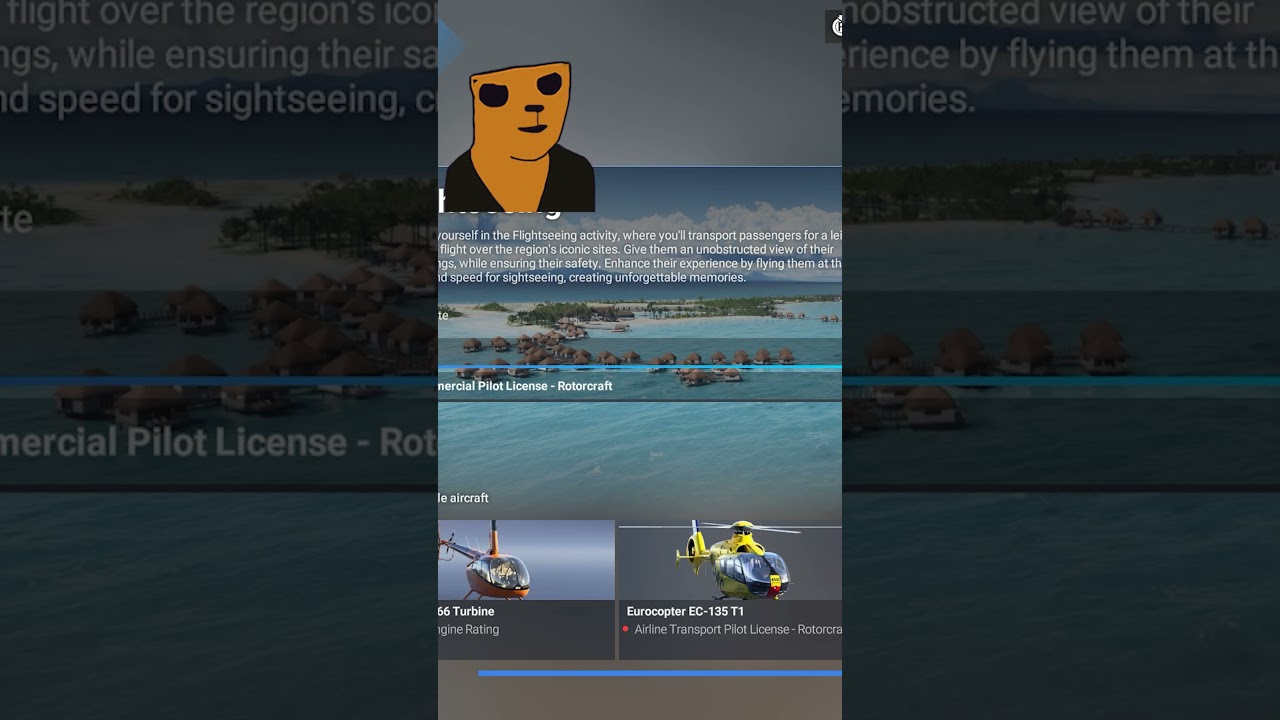 Aerial advertising | Flight Simulator: Part 11