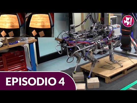 Video: Il Robot Umano Del XXI Secolo: Le Tecnologie Ci 