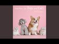 犬・猫 ペット用の音楽 - ストレス解消音楽 -