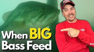 The TRUTH About When Big Bass Feed