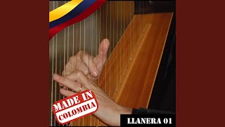 Video thumbnail of "Walter Silva - No Hay Como la Mama de Uno"