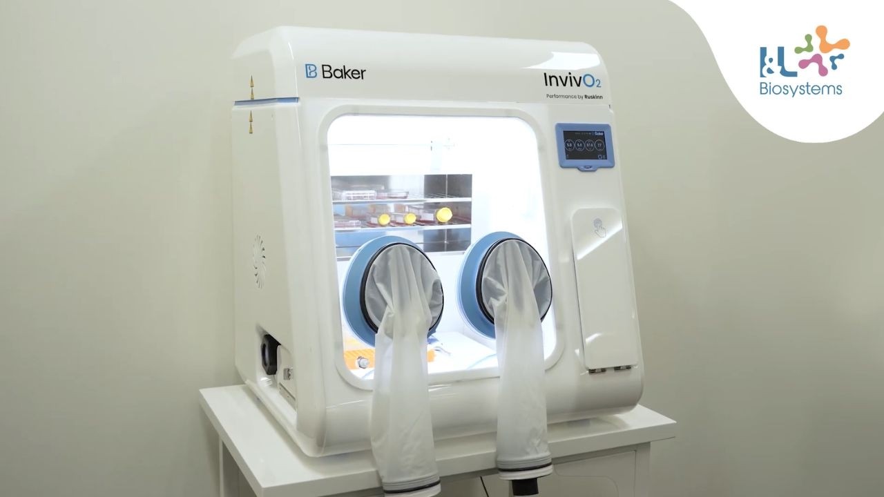 InvivO₂ 300 hypoxia workstation – The Baker Company