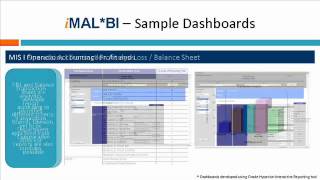 Business Intelligence Demo by Path Solutions