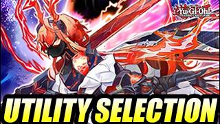 Utility Selection Possibilities