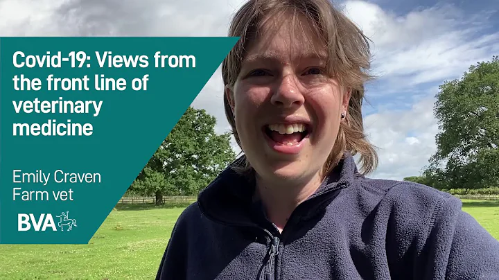 Covid-19: Views from the front line of veterinary ...
