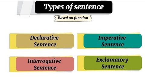 Understanding the Different Types of Sentences Based on Function ||English grammar ||