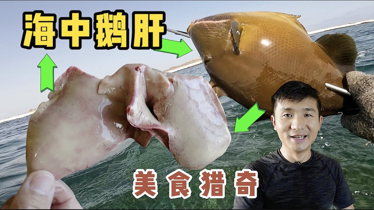 《环球探海记》阿曼 第49天：今天潜水猎奇“海中鹅肝”时，我竟然被咬伤了  #海鲜美食 #美食猎奇 #自由潜 #渔猎