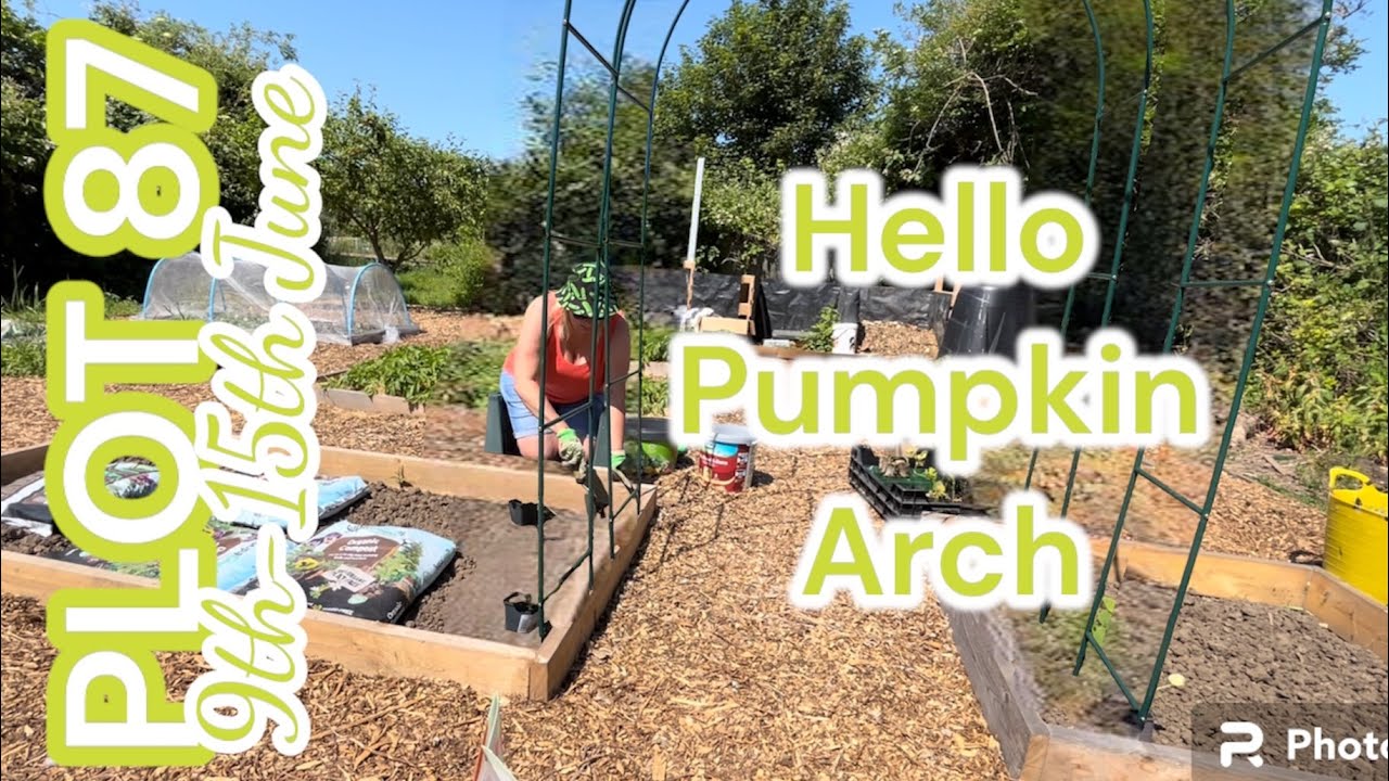 HOORAY … HELLO PUMPKIN ARCH // PLOT 87