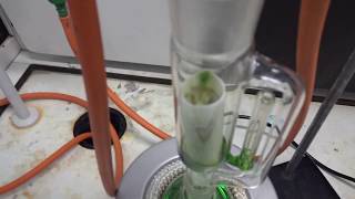 Soxhlet extraction of rosemary leaves VID 1593500132965