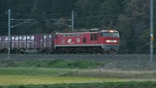 【EF510】【EF81】 北陸本線を走る貨物列車 2015年11月
