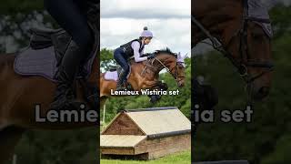 What To Give A 11Yr Old Equestrian Girl For Her Birthday