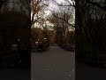 Central Park 💫