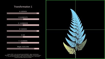 Fractal generation using IFS | Processing